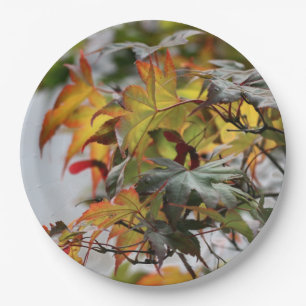 Fall Pappteller