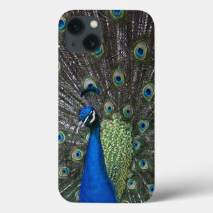 Fall Peacock iPad Case-Mate iPhone Hülle