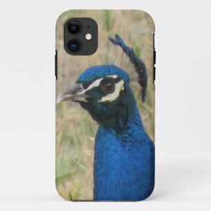 Fall Peacock iPhone 5 Case-Mate iPhone Hülle