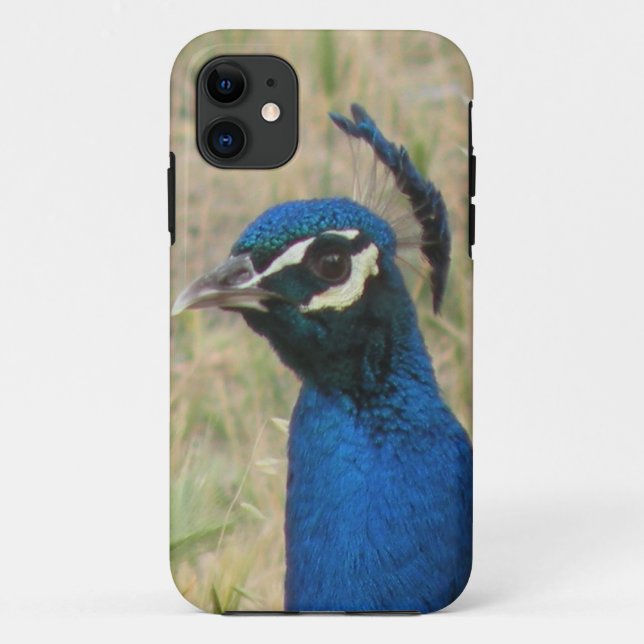 Fall Peacock iPhone 5 Case-Mate iPhone Hülle (Rückseite)