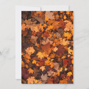 FALL-PFERDE-111315 FALL-AUTUMN FARBEN WIEDER