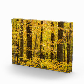 Fall Pisgah National Forest Fotoblock