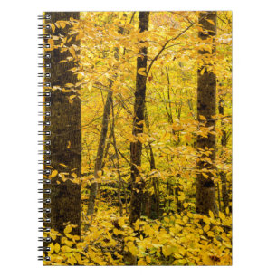 Fall Pisgah National Forest Notizblock