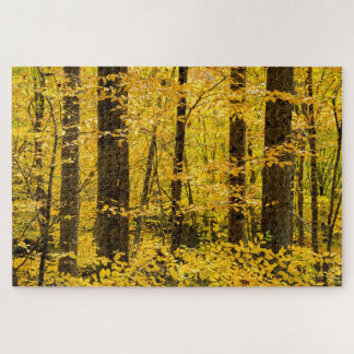 Fall Pisgah National Forest Puzzle