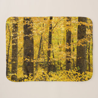 Fall Pisgah National Forest Sherpadecke