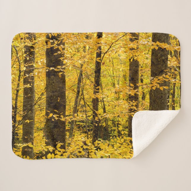 Fall Pisgah National Forest Sherpadecke (Vorderseite (Horizontal))