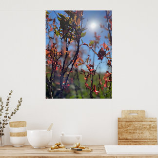 Fall Poster