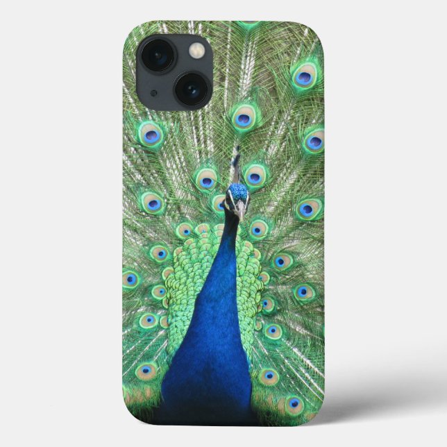 Fall: Proud Peacock Case-Mate iPhone Hülle (Rückseite)