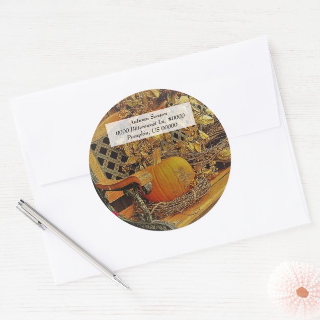 Fall / Pumpkin & Bittersweet Vine / Umschlag Aufkl Runder Aufkleber (Umschlag)