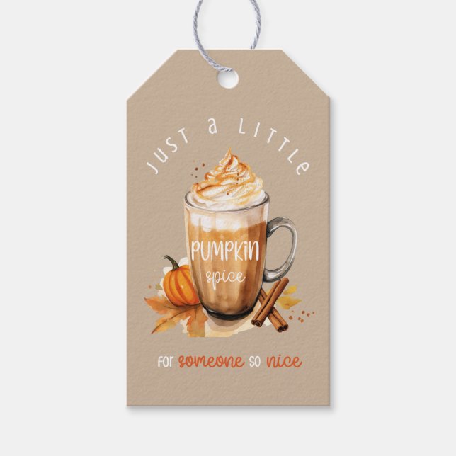 Fall Pumpkin Gewürz Jemand Nice Erntedank Gefallen Geschenkanhänger (Vorderseite)