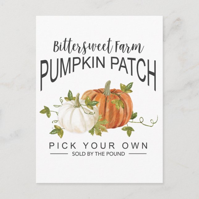 FALL PUMPKIN PATCH POSTKARTE (Vorderseite)