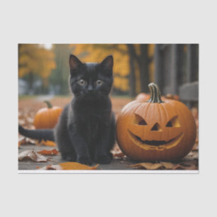 Fall Pumpkin Sweet Black Kitten Entcoupage Seidenpapier