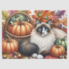 Fall Pumpkins Herbst Leaves Ragdoll Cat Seidenpapier