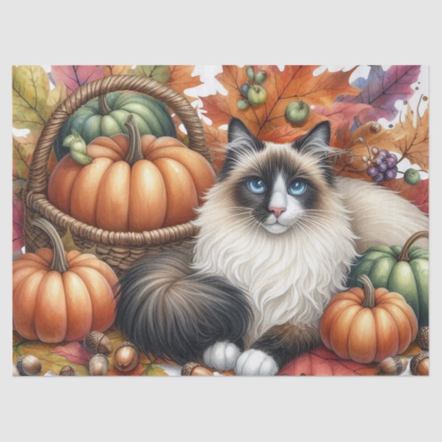 Fall Pumpkins Herbst Leaves Ragdoll Cat Seidenpapier (Vorderseite)