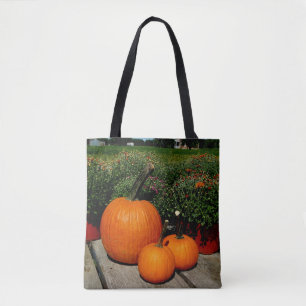 Fall Pumpkins und Mums auf