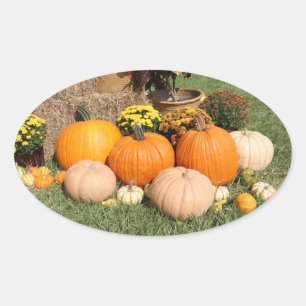 Fall Pumpkins und Mums Ovaler Aufkleber