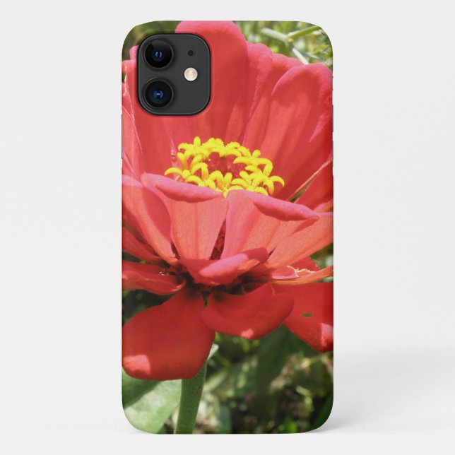 Fall Red Zinnia iPhone 3 Case-Mate iPhone Hülle (Rückseite)
