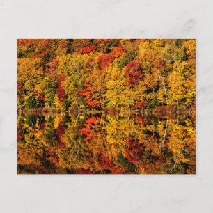 Fall Reflektion über den Russell-Teich   New Hamps Postkarte