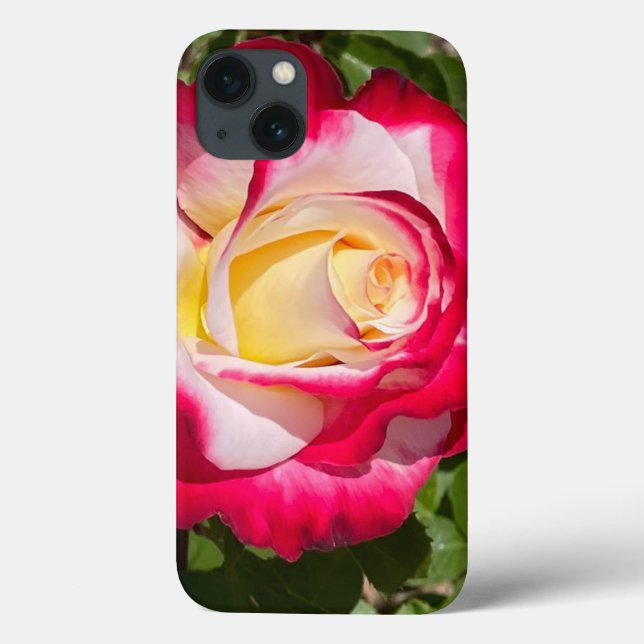 Fall Rot und Gelb Rose Case-Mate Telefon iPhone Hülle (Rückseite)