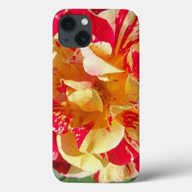 Fall Rot und Gelb Rose Case-Mate Telefon iPhone Hülle (Rückseite)