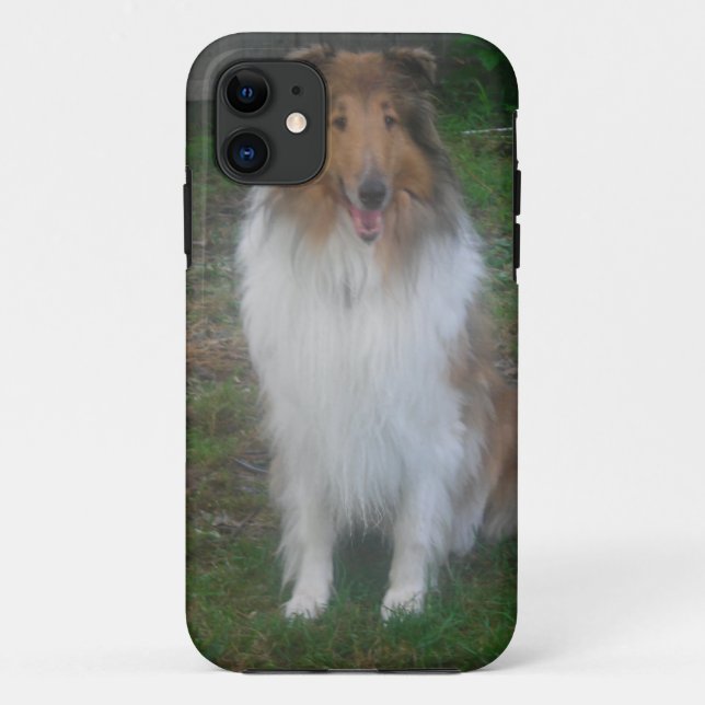 Fall Sable Rough Collie iPhone 5 Case-Mate iPhone Hülle (Rückseite)