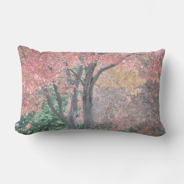 Fall-Schönheit Lendenkissen (Vorderseite)