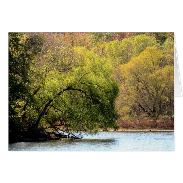 Fall-Schönheit - löschen Sie nach innen (Vorderseite (Horizontal))