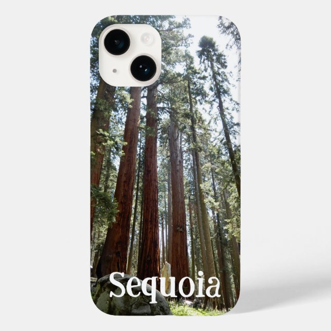 Fall Sequoia National Forest iPhone 14 Case-Mate iPhone Hülle (Rückseite)