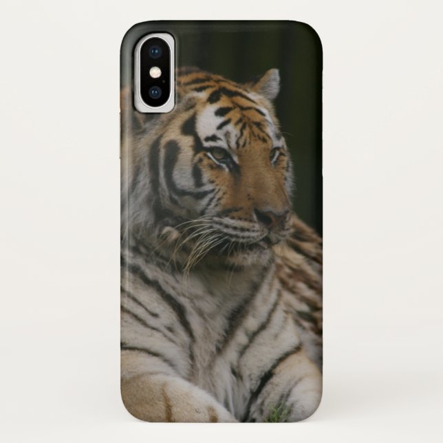 Fall Siberian Tiger Case-Mate iPhone Case-Mate iPhone Hülle (Rückseite)