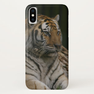 Fall Siberian Tiger Case-Mate iPhone Hülle