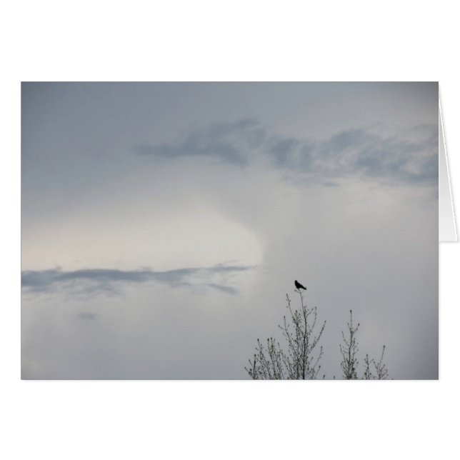 Fall Sky 2014 (Vorderseite (Horizontal))