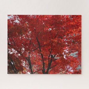 Fall Splendor of the Red Tree Blätter Puzzle