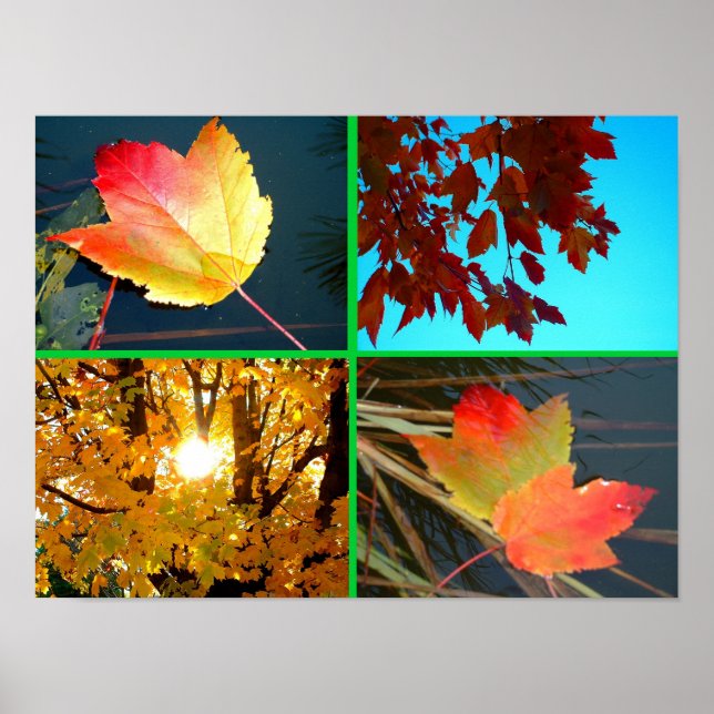 Fall Splendor Poster (Vorne)