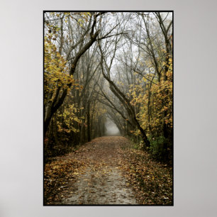 Fall-Spur führt in den Nebel Poster