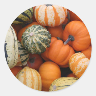 Fall Squash Harvest Runder Aufkleber