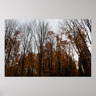 Fall Stehend Tal Poster