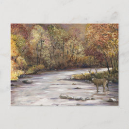 Fall Stream Art Postkarte