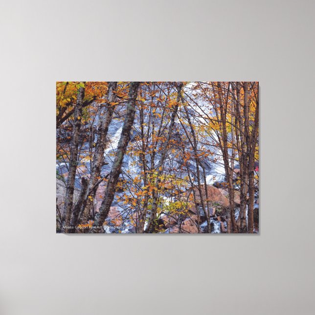 Fall Stream Leinwanddruck (Vorderseite)