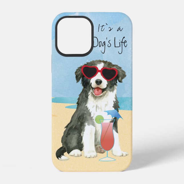 Fall "Summer Border Collie Case-Mate" iPhone Hülle (Rückseite)