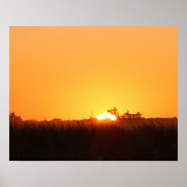 Fall Sunrise bricht 20x16 Poster Print Wall Art (Vorne)