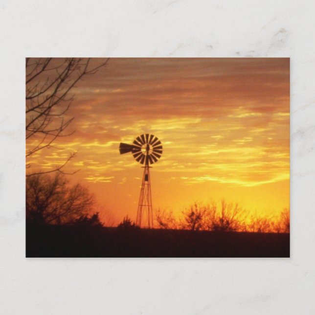 Fall Sunset Postkarte (Vorderseite)