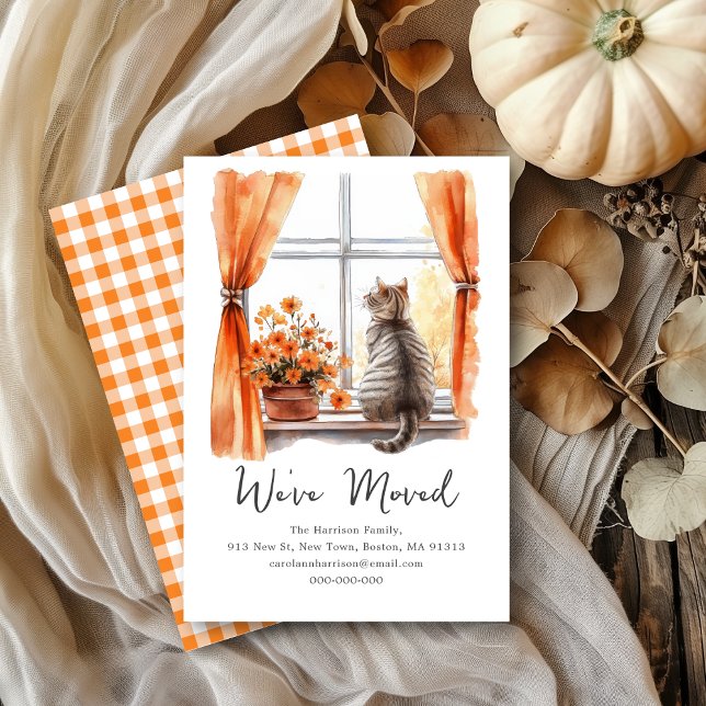 Fall Tabby Cat | Wir haben eine neue Adresse versc Ankündigung (Von Creator hochgeladen)