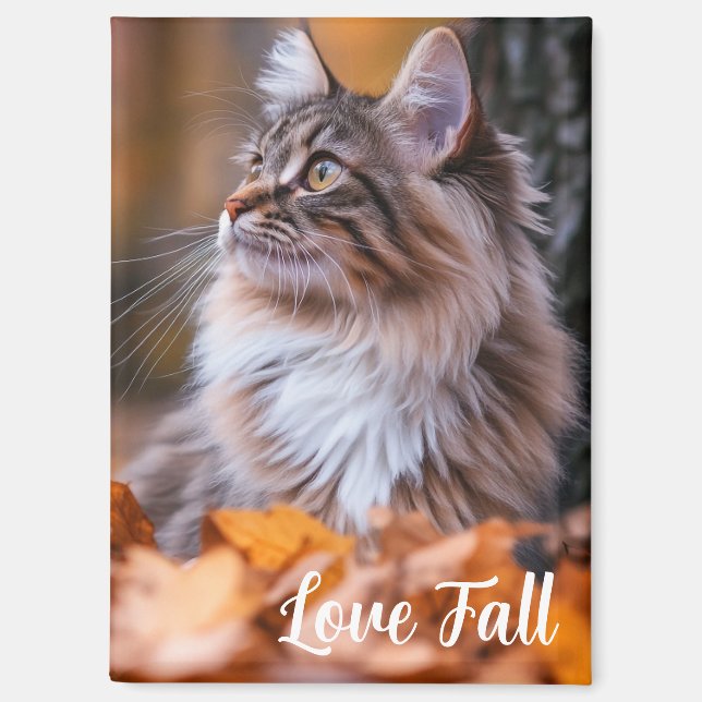 Fall Time Cat Magnet (Vorderseite)