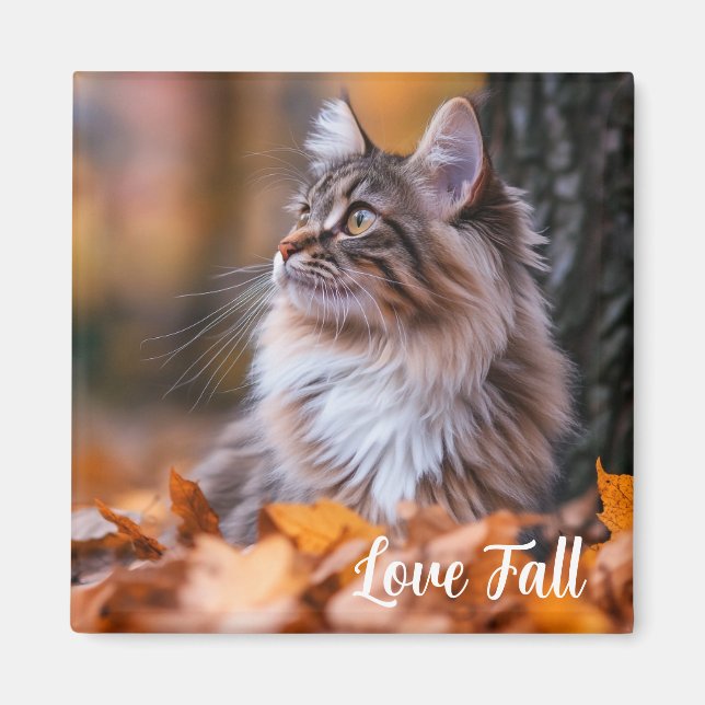 Fall Time Cat Magnet (Vorne)