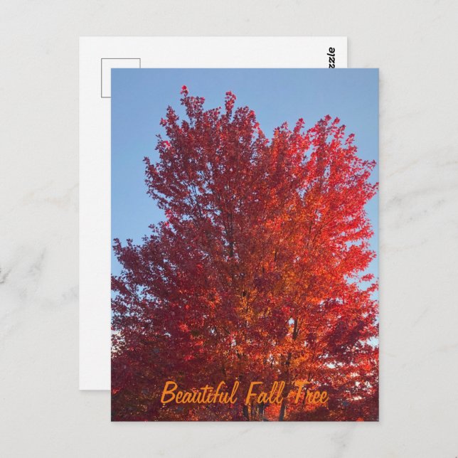 Fall Tree Bild | Postkarte (Vorne/Hinten)