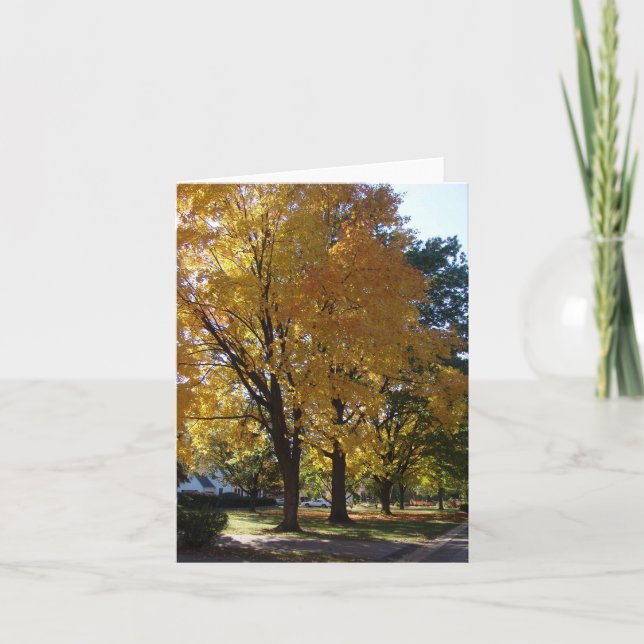 Fall Tree - "Our Street" - Note Card Karte (Vorderseite)