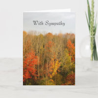 Fall Trees Beileid