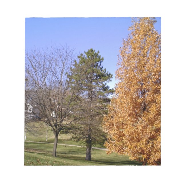Fall Trees Notizblock (Vorderseite)