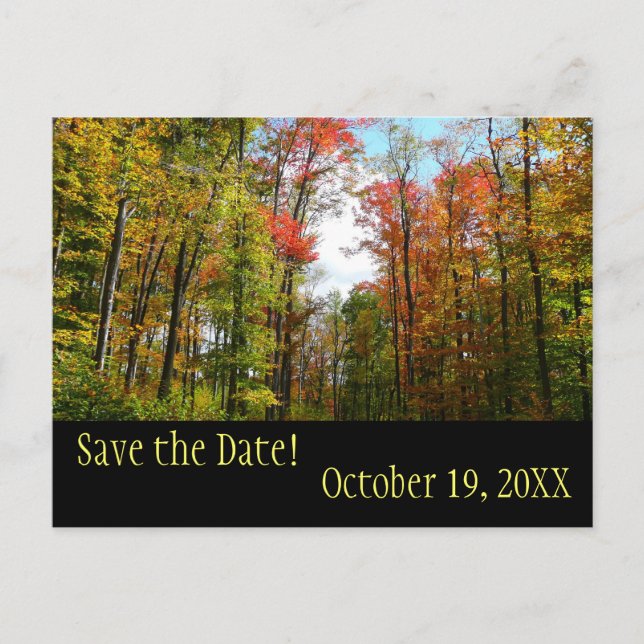 Fall Trees und Blue Sky Save the Date Postcard Ankündigungspostkarte (Vorderseite)