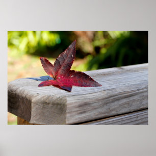 Fall Verlassen Poster